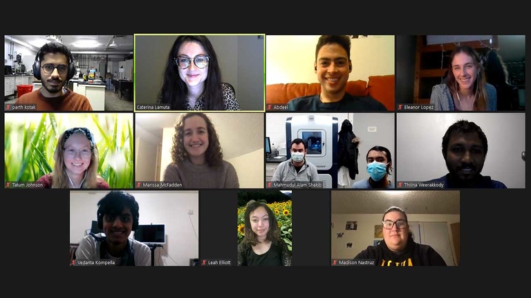 Screen shot of lab members in Zoom meeting